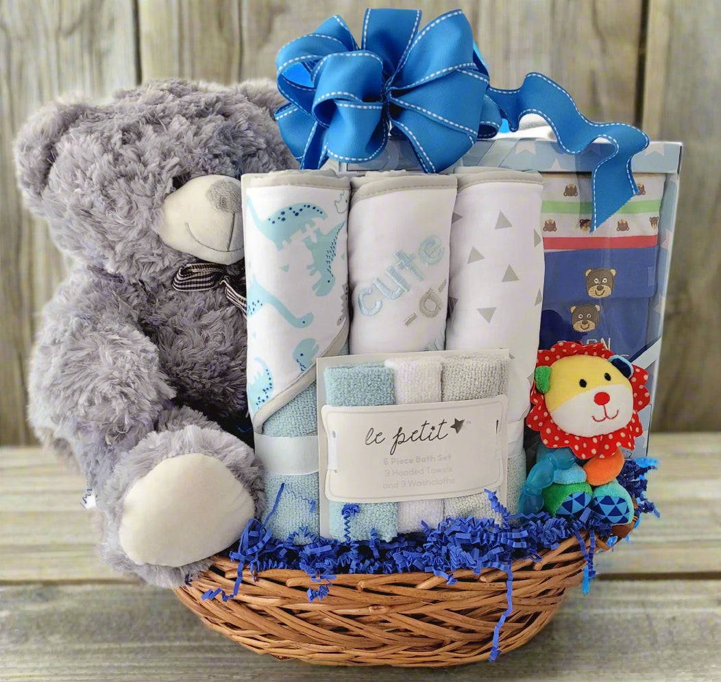 Baby Boy Gift Basket Delivery Phoenix, Arizona Sun Valley